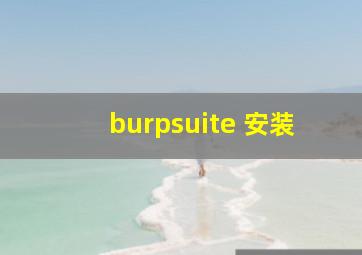 burpsuite 安装